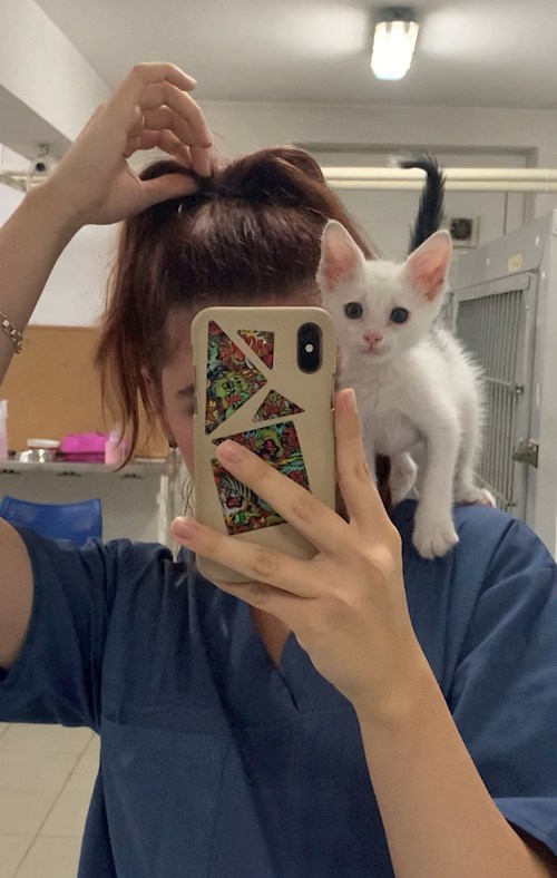 Iancu- petsitter București sau Bonă pentru animale pentru câini pisici