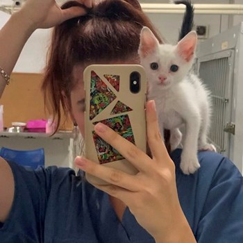 thumbnail petsitter București sau bonă pentru animale pentru câini pisici