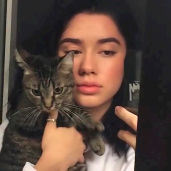 thumbnail petsitter București sau bonă pentru animale pentru câini pisici