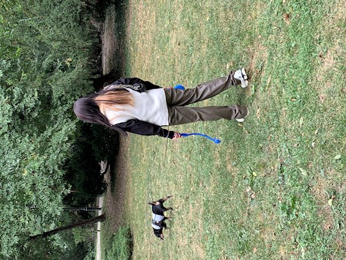 Iancu- petsitter București sau Bonă pentru animale pentru câini pisici