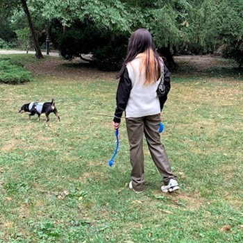 thumbnail petsitter București sau bonă pentru animale pentru câini pisici