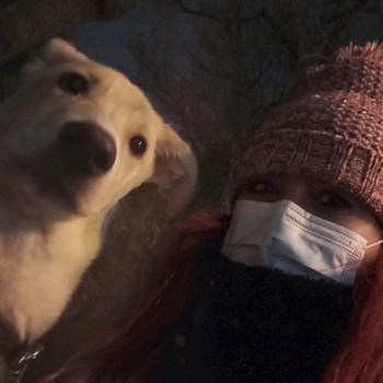 thumbnail petsitter București sau bonă pentru animale pentru câini pisici