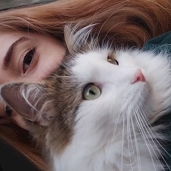 thumbnail petsitter Bucureşti or pet nanny for dogs cats 