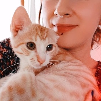  thumbnail petsitter Bucureşti or pet nanny for dogs cats 