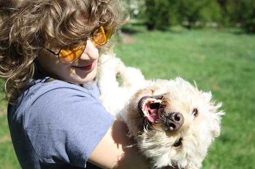 Georgiana- petsitter București sau Bonă pentru animale pentru câini pisici