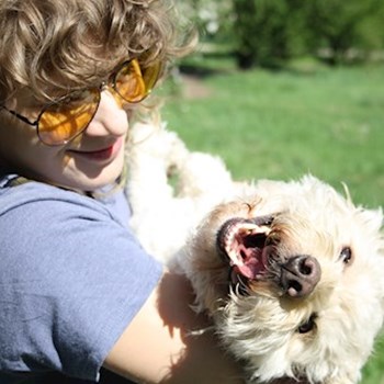 thumbnail petsitter București sau bonă pentru animale pentru câini pisici