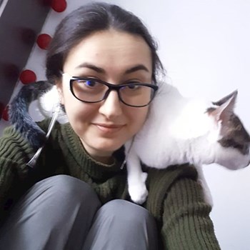 thumbnail petsitter București sau bonă pentru animale pentru pisici