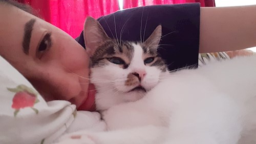 Gabriela- petsitter București sau Bonă pentru animale pentru pisici