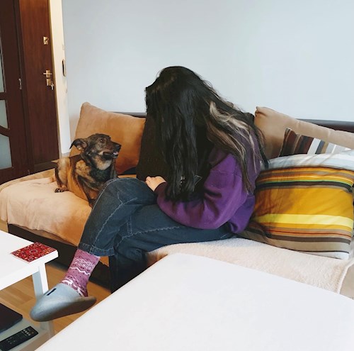 Iancu- petsitter București sau Bonă pentru animale pentru câini pisici