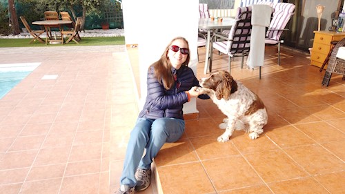 Lara- petsitter București or Pet nanny for dogs cats