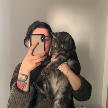 thumbnail petsitter București sau bonă pentru animale pentru câini pisici