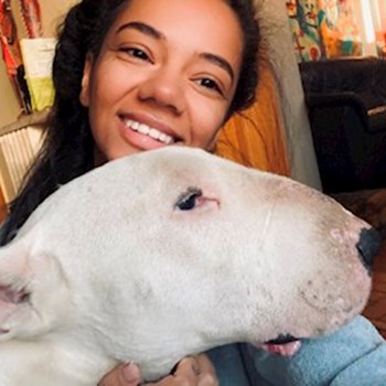 thumbnail petsitter Iași sau bonă pentru animale pentru câini pisici