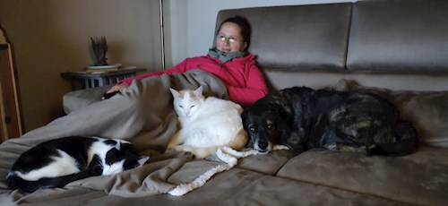 Lara- petsitter București or Pet nanny for dogs cats