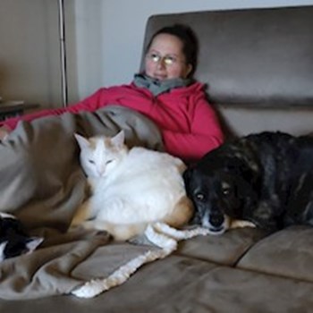 thumbnail petsitter București or pet nanny for dogs cats