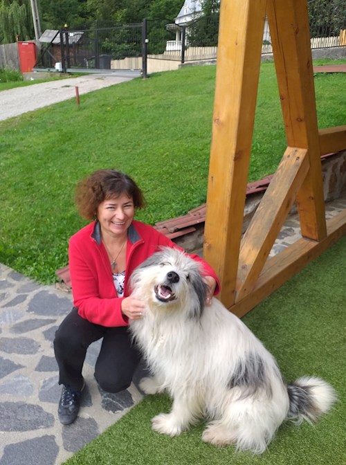 Gabriella- petsitter Cluj-Napoca or Pet nanny for dogs cats 