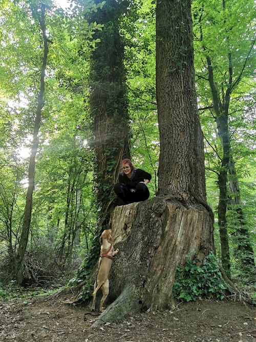 Timea- petsitter Timișoara sau Bonă pentru animale pentru câini pisici