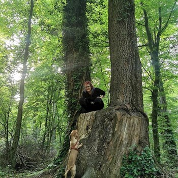 thumbnail petsitter Timișoara sau bonă pentru animale pentru câini pisici