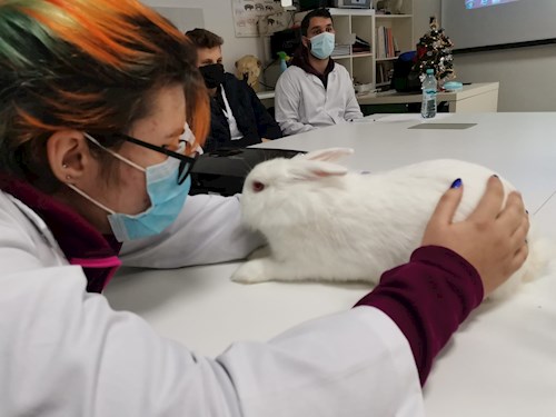 Timea- petsitter Timișoara sau Bonă pentru animale pentru câini pisici