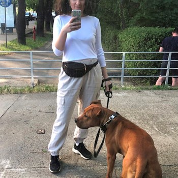 thumbnail petsitter Timișoara sau bonă pentru animale pentru câini pisici