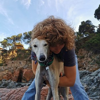 thumbnail petsitter București sau bonă pentru animale pentru câini pisici