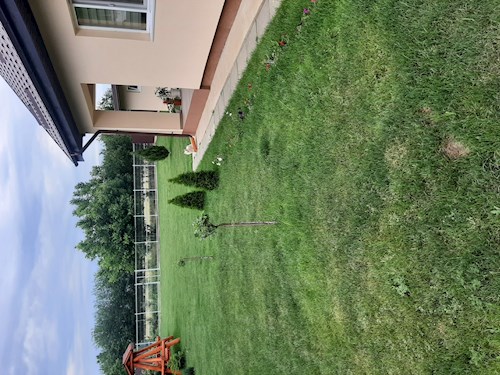 beatrice- petsitter București sau Bonă pentru animale pentru