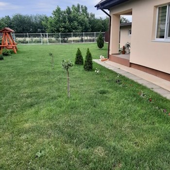 thumbnail petsitter București sau bonă pentru animale pentru