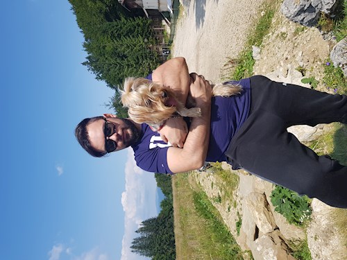 Bogdan- petsitter București or Pet nanny for dogs cats 