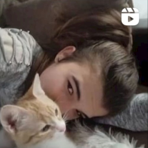 Bădulescu- petsitter Brașov sau Bonă pentru animale pentru câini pisici