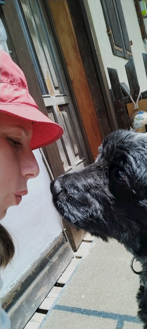 Lara- petsitter București or Pet nanny for dogs cats