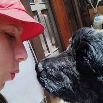 thumbnail petsitter București or pet nanny for dogs cats