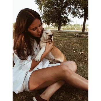  thumbnail petsitter Bucureşti or pet nanny for dogs cats 
