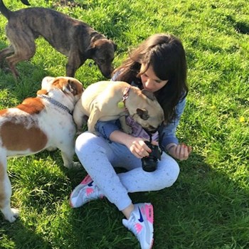  thumbnail petsitter Bucureşti or pet nanny for dogs cats 