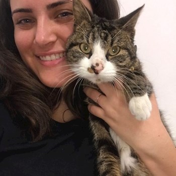 thumbnail petsitter Brașov sau bonă pentru animale pentru câini pisici