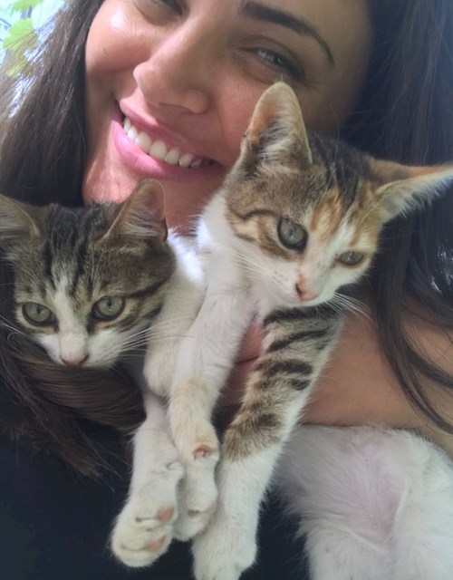 Emina- petsitter Brașov sau Bonă pentru animale pentru câini pisici