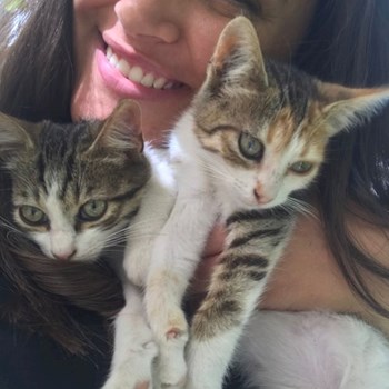 thumbnail petsitter Brașov sau bonă pentru animale pentru câini pisici