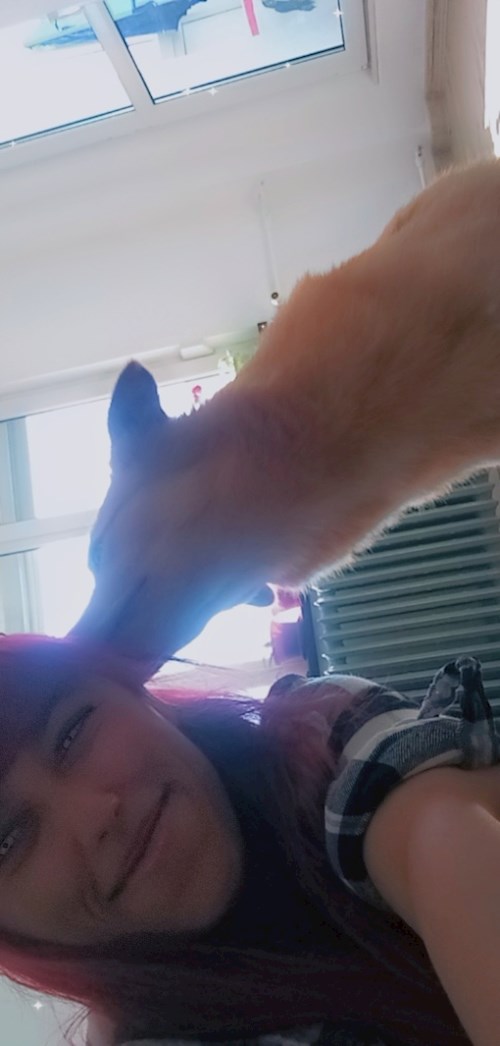 Alexandra- petsitter București sau Bonă pentru animale pentru câini pisici