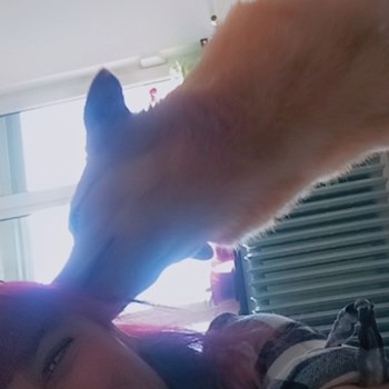 thumbnail petsitter București sau bonă pentru animale pentru câini pisici