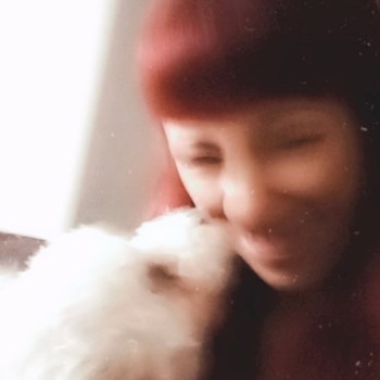 thumbnail petsitter București sau bonă pentru animale pentru câini pisici