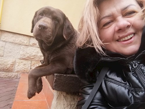 Rodica- petsitter Cluj-Napoca or Pet nanny for dogs cats 
