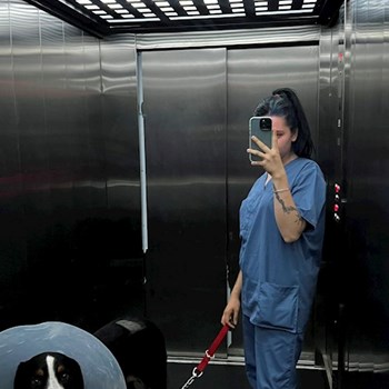 thumbnail petsitter București sau bonă pentru animale pentru câini pisici