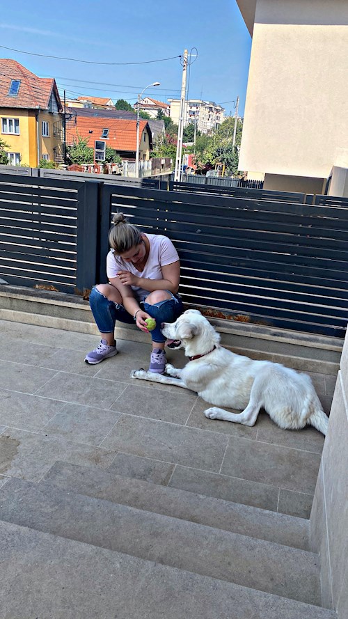 Andrea- petsitter Cluj-Napoca sau Bonă pentru animale pentru câini pisici