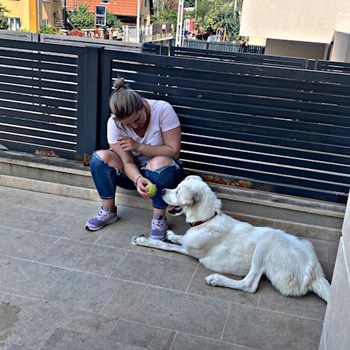 thumbnail petsitter Cluj-Napoca sau bonă pentru animale pentru câini pisici