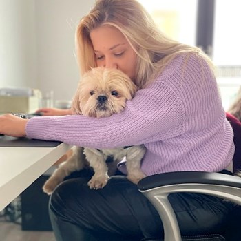 thumbnail petsitter Cluj-Napoca sau bonă pentru animale pentru câini pisici