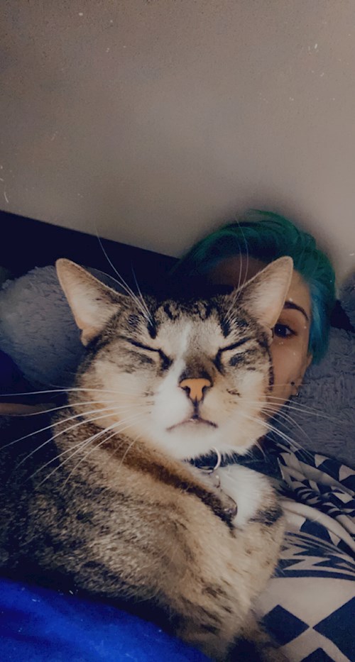 Dima- petsitter Cluj-Napoca or Pet nanny for dogs cats