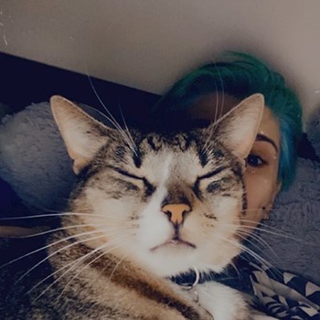 thumbnail petsitter Cluj-Napoca or pet nanny for dogs cats