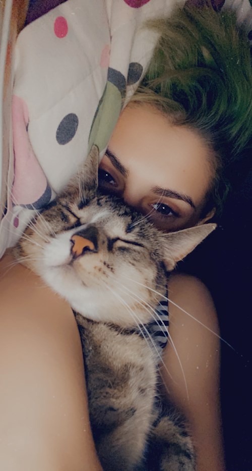 Dima- petsitter Cluj-Napoca or Pet nanny for dogs cats