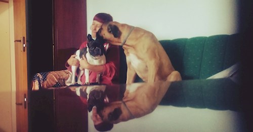 Alexandra- petsitter București sau Bonă pentru animale pentru câini pisici