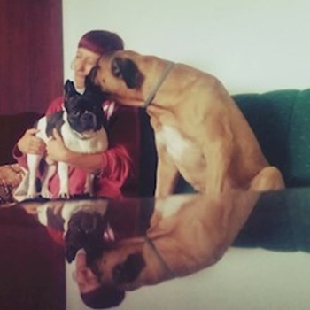 thumbnail petsitter București sau bonă pentru animale pentru câini pisici