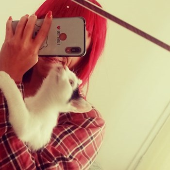 thumbnail petsitter București sau bonă pentru animale pentru câini pisici