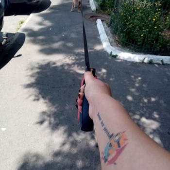 thumbnail petsitter București sau bonă pentru animale pentru câini pisici